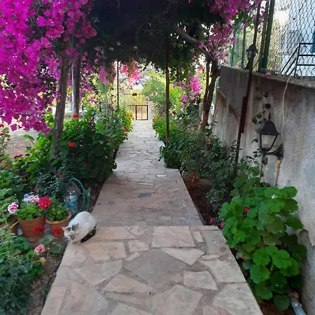 Koeknar Aparthotel Yenikoy (Kas)