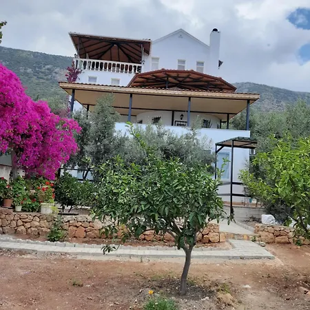 Hotel apartamentowy Koeknar Yenikoy (Kas)